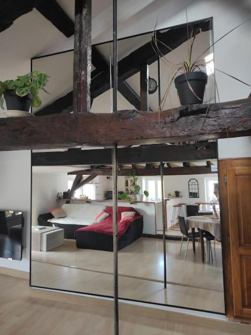 Appartement De Charme Coeur Historique 佩里格 外观 照片